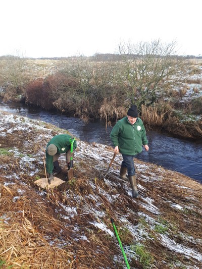 More tree planting at John Brown's